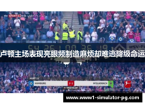 卢顿主场表现亮眼频制造麻烦却难逃降级命运