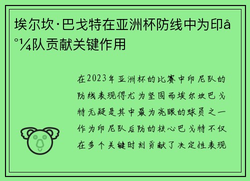 埃尔坎·巴戈特在亚洲杯防线中为印尼队贡献关键作用